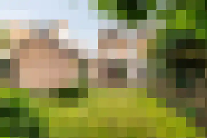 Olympiastraat 40 Breda thumbnail 5