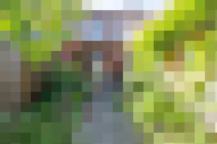 Olympiastraat 8 Landgraaf thumbnail 26