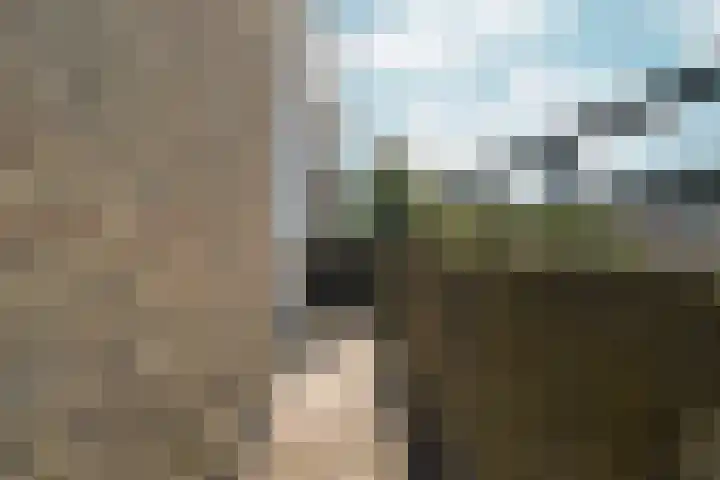 Olympiaweg 101 2 Amsterdam thumbnail 18