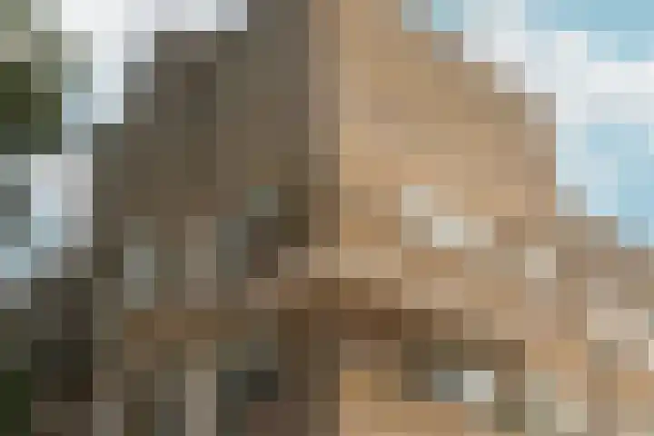 Olympiaweg 101 2 Amsterdam thumbnail 24