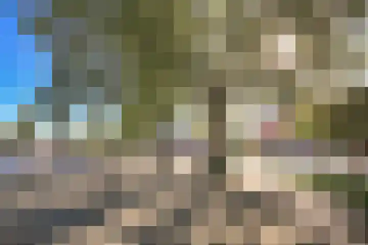 Olympiaweg 105 1 Amsterdam thumbnail 49