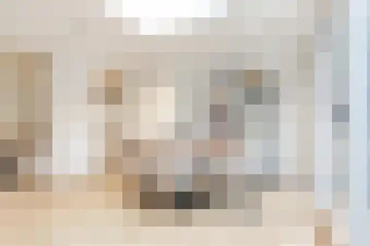 Olympiaweg 105 1 Amsterdam thumbnail 6