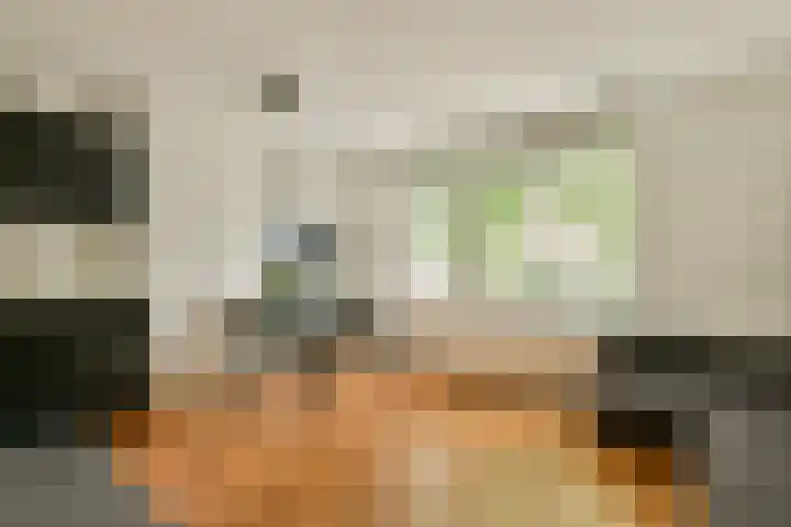 Olympiaweg 107 H Amsterdam thumbnail 7