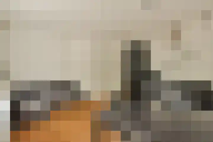 Olympiaweg 107 H Amsterdam thumbnail 8