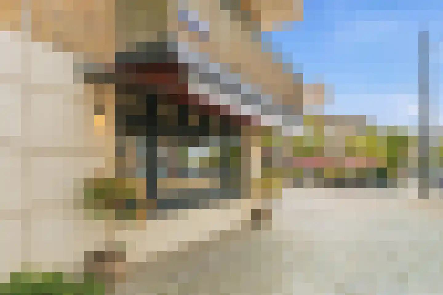 Olympiaweg 113 3 Amsterdam thumbnail 38