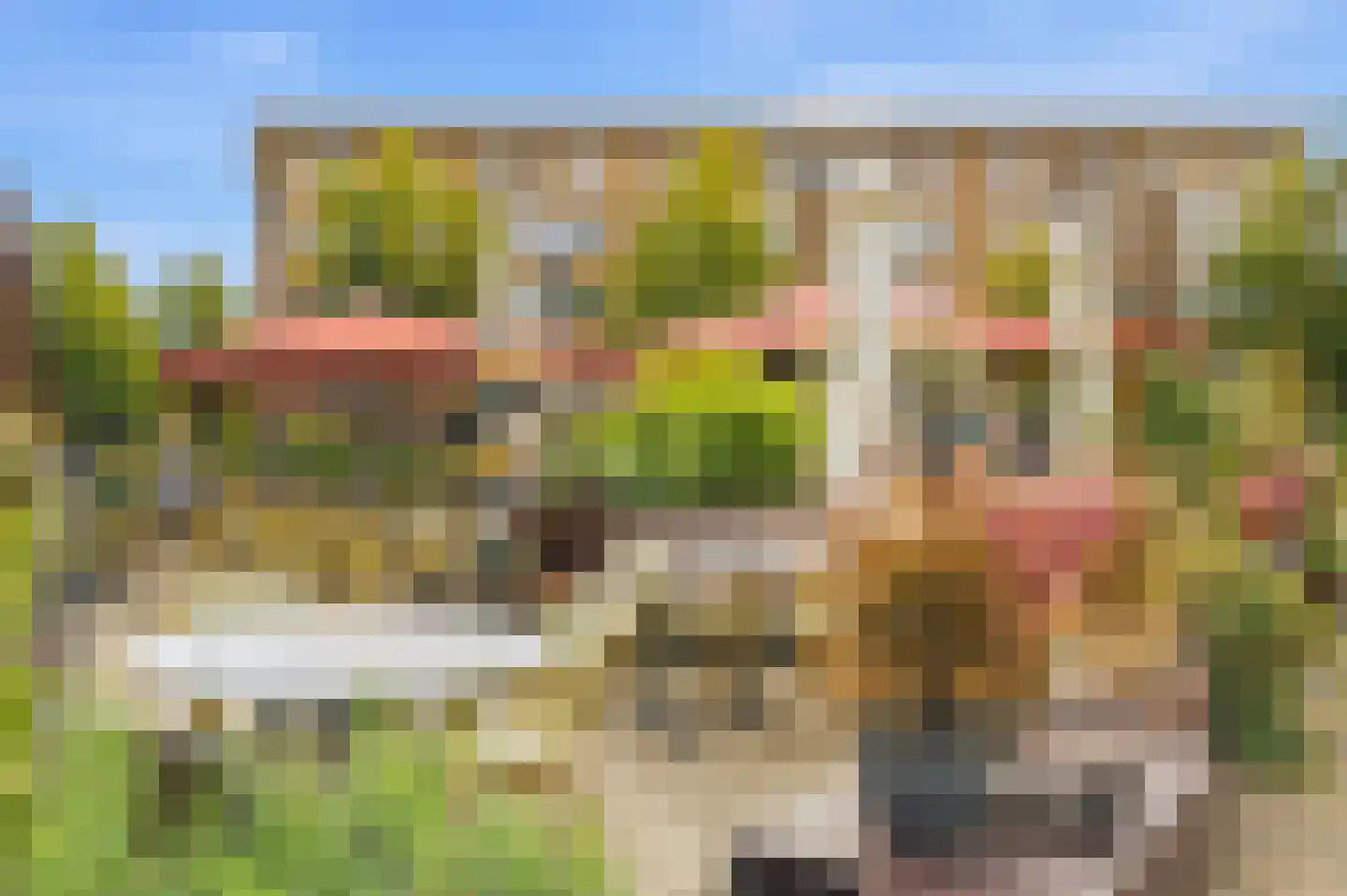 Olympiaweg 113 3 Amsterdam thumbnail 39