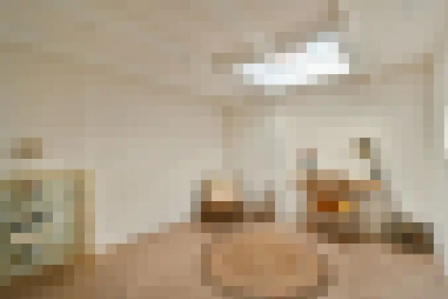 Olympiaweg 115 3 Amsterdam thumbnail 17