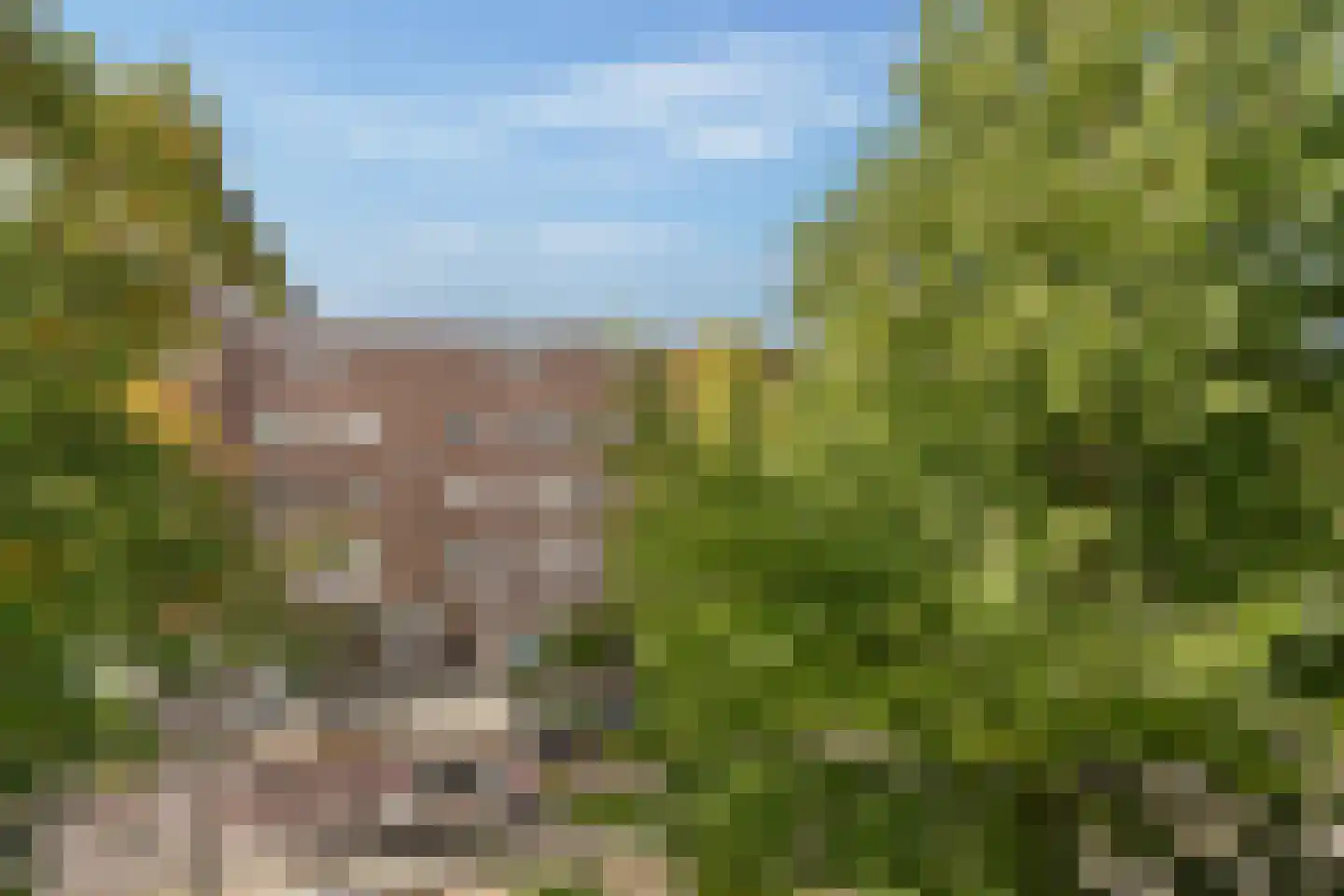 Olympiaweg 115 3 Amsterdam thumbnail 23