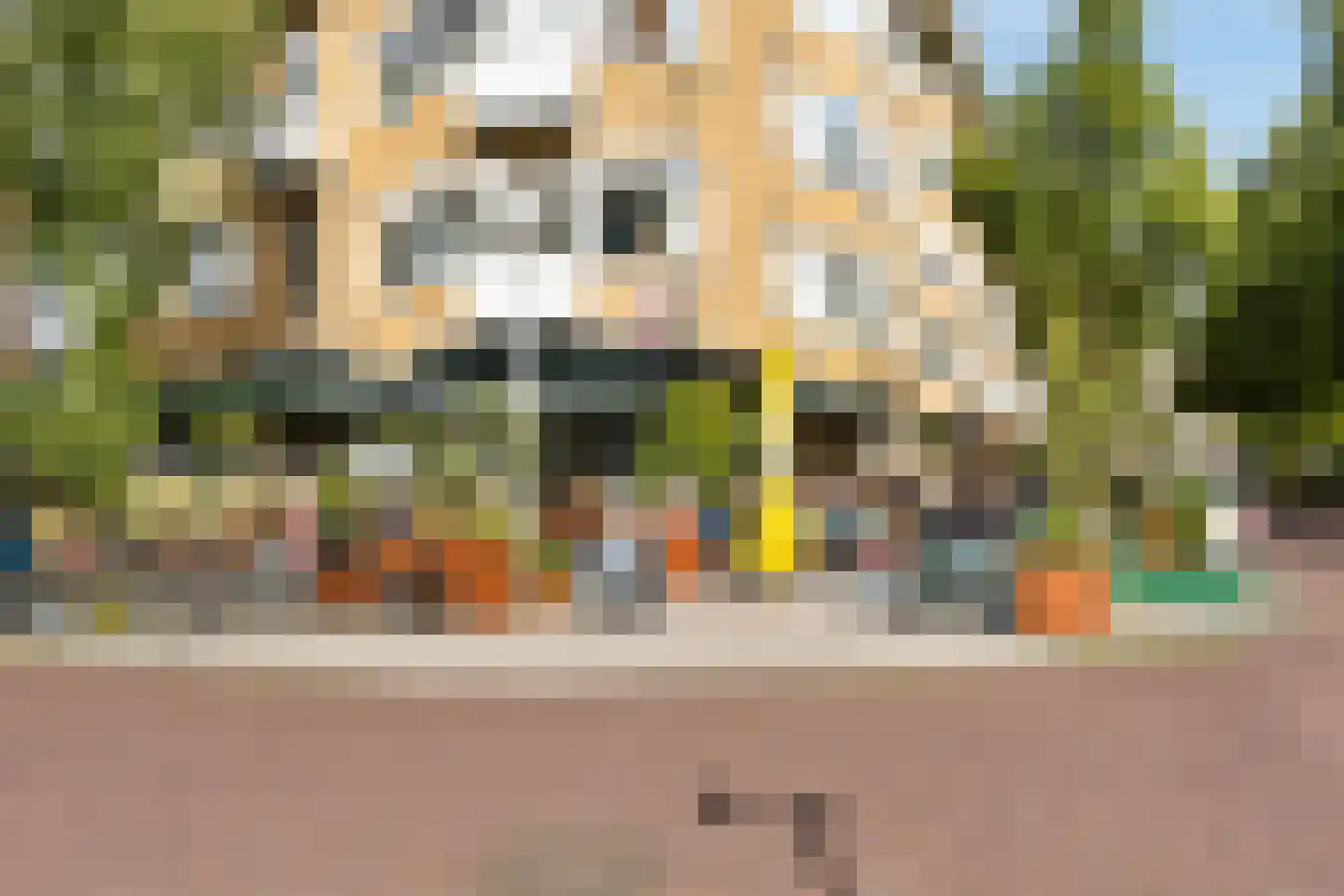 Olympiaweg 115 3 Amsterdam thumbnail 27