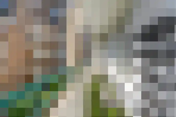 Olympiaweg 121 3 Amsterdam thumbnail 13