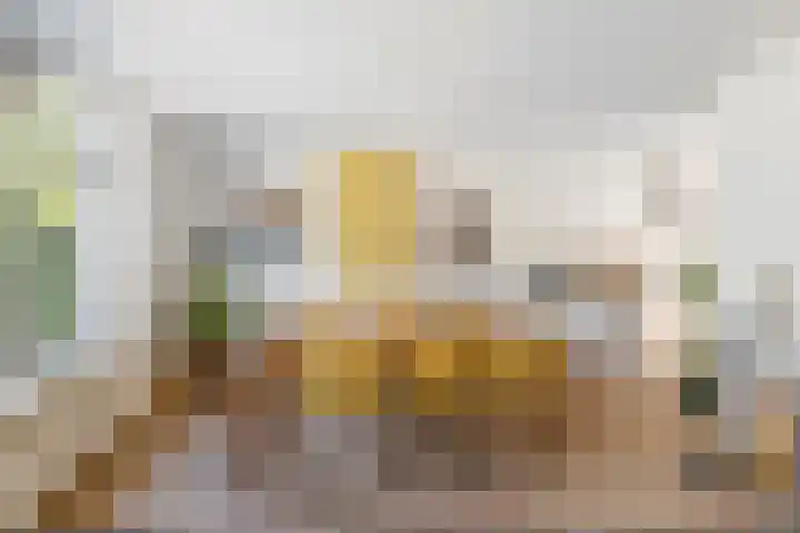Olympiaweg 121 3 Amsterdam thumbnail 16