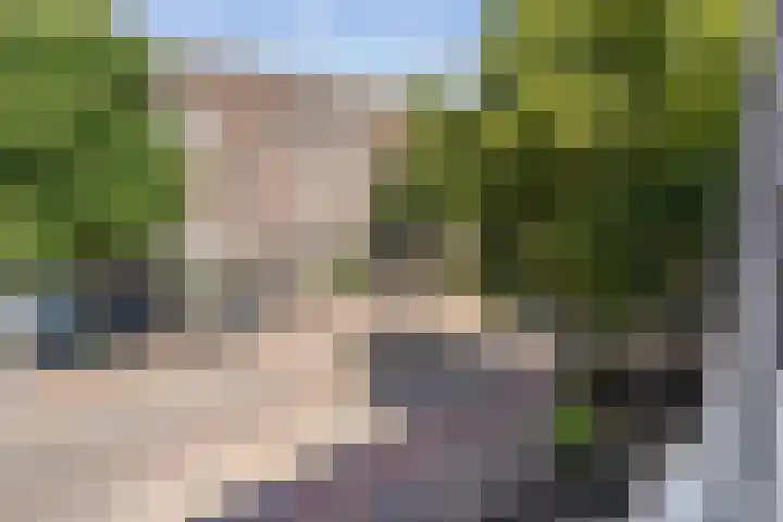 Olympiaweg 121 3 Amsterdam thumbnail 22
