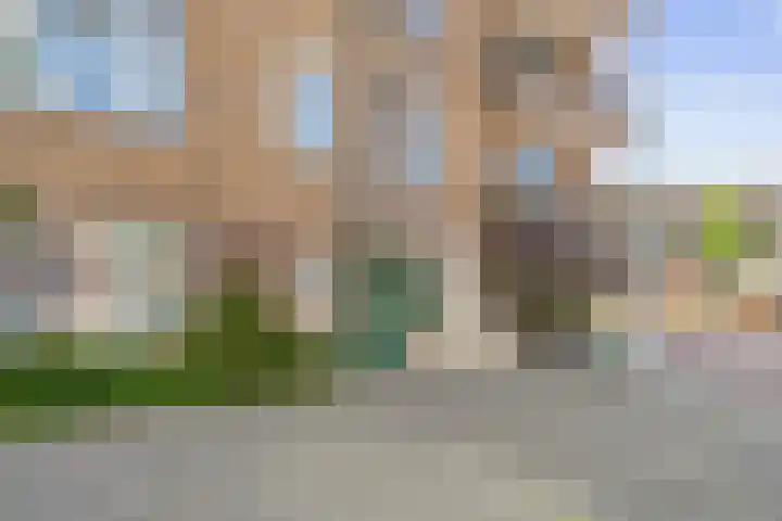 Olympiaweg 121 3 Amsterdam thumbnail 26