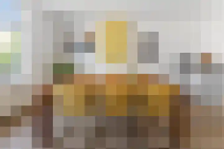 Olympiaweg 121 3 Amsterdam thumbnail 4