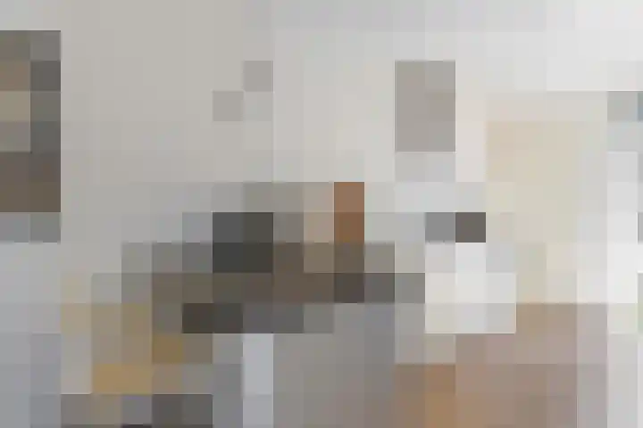 Olympiaweg 121 3 Amsterdam thumbnail 5
