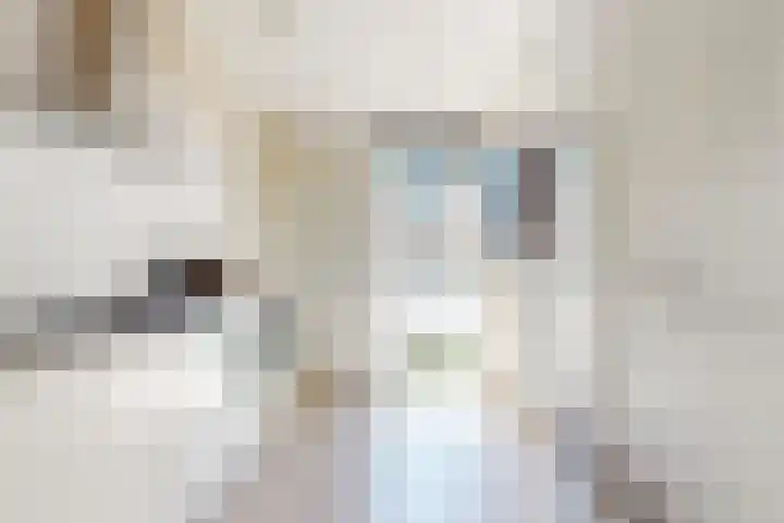 Olympiaweg 121 3 Amsterdam thumbnail 6