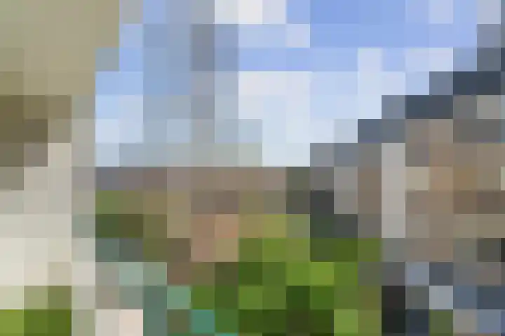 Olympiaweg 121 3 Amsterdam thumbnail 8