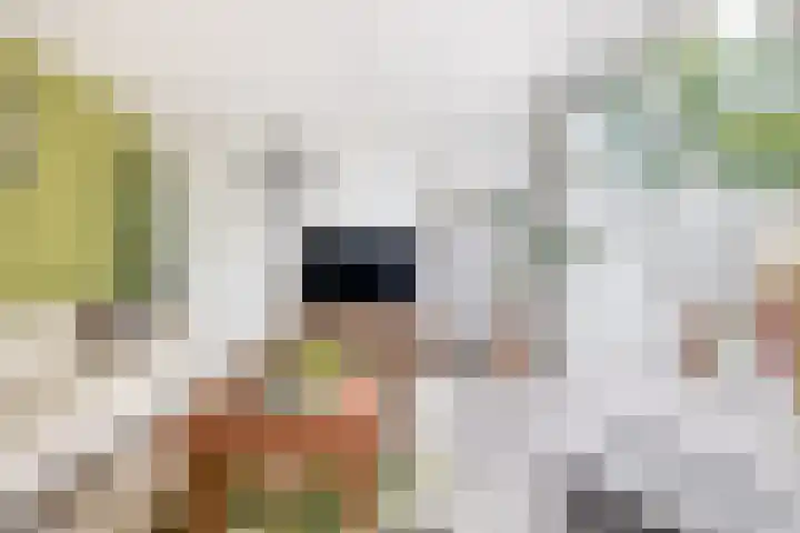Olympiaweg 14 Sommelsdijk thumbnail 10