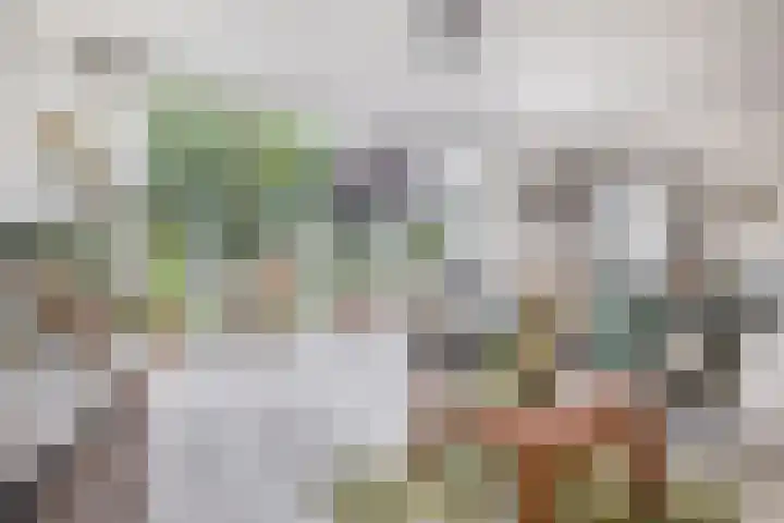 Olympiaweg 14 Sommelsdijk thumbnail 11
