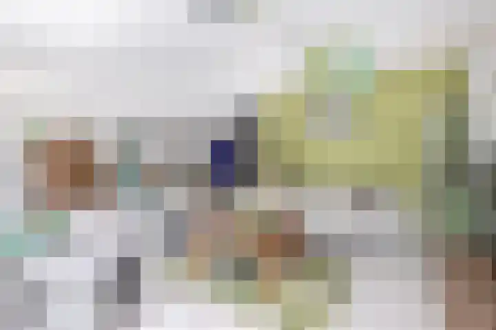 Olympiaweg 14 Sommelsdijk thumbnail 12