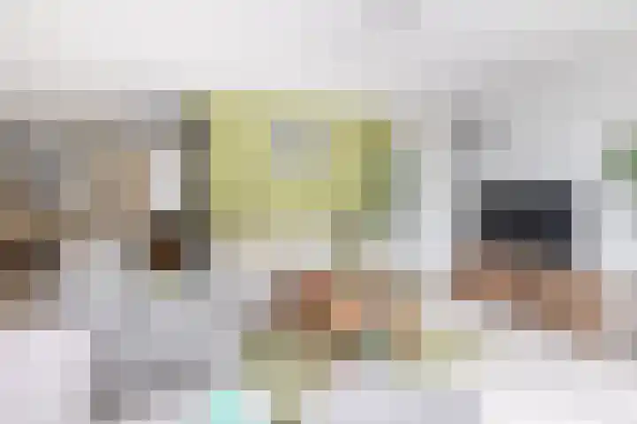 Olympiaweg 14 Sommelsdijk thumbnail 13