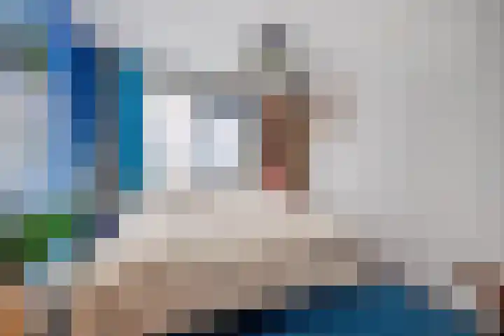Olympiaweg 14 Sommelsdijk thumbnail 18