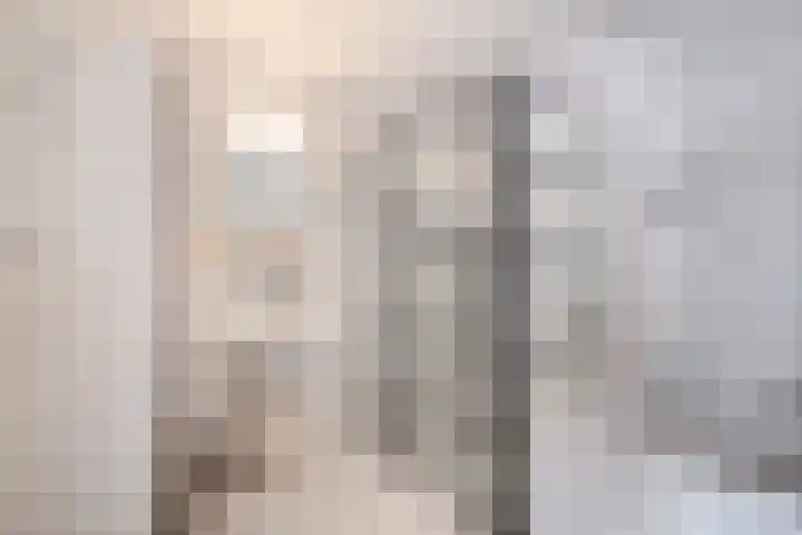 Olympiaweg 14 Sommelsdijk thumbnail 20