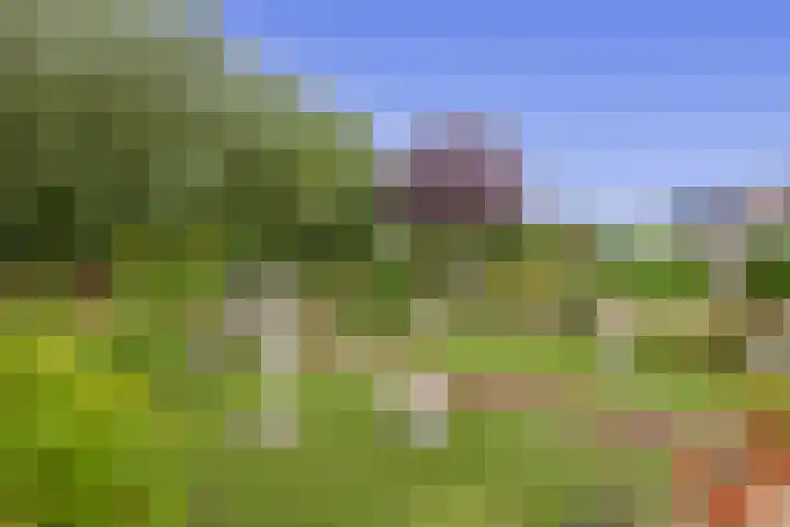 Olympiaweg 14 Sommelsdijk thumbnail 28