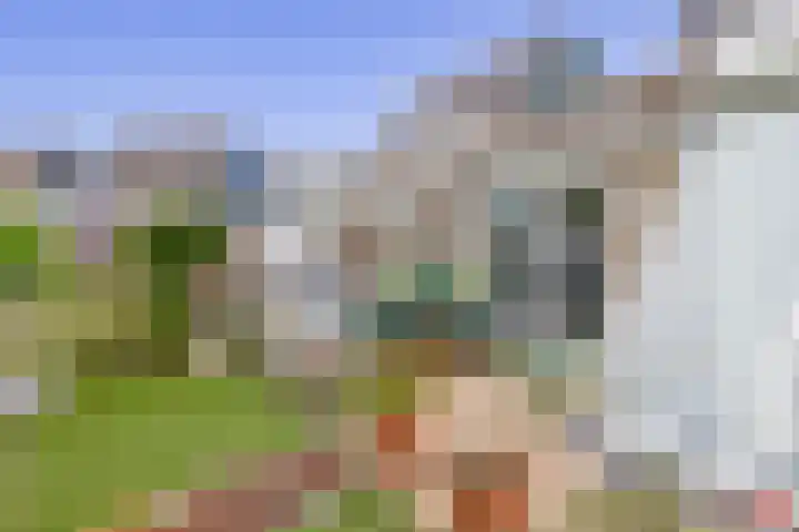 Olympiaweg 14 Sommelsdijk thumbnail 29