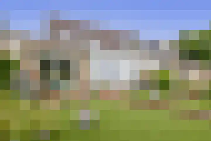 Olympiaweg 14 Sommelsdijk thumbnail 30