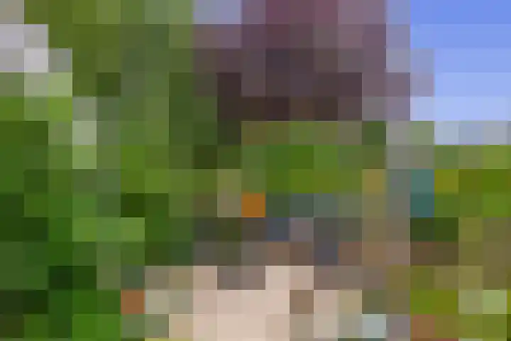 Olympiaweg 14 Sommelsdijk thumbnail 31