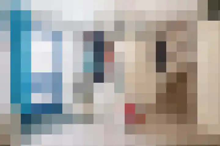 Olympiaweg 14 Sommelsdijk thumbnail 8