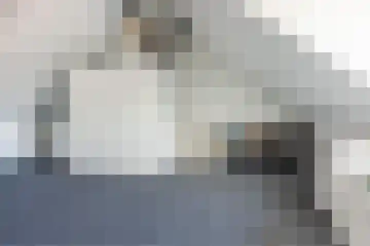 Olympiaweg 18 Schiedam thumbnail 33