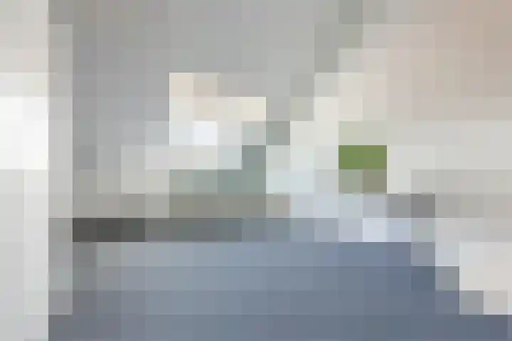 Olympiaweg 18 Schiedam thumbnail 34