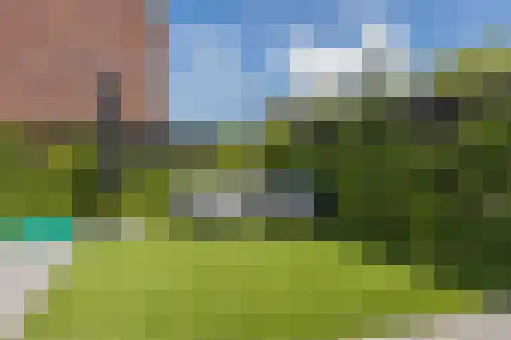 Olympiaweg 18 Schiedam thumbnail 37