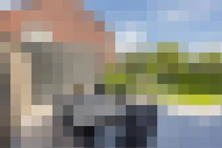Olympiaweg 18 Schiedam thumbnail 38