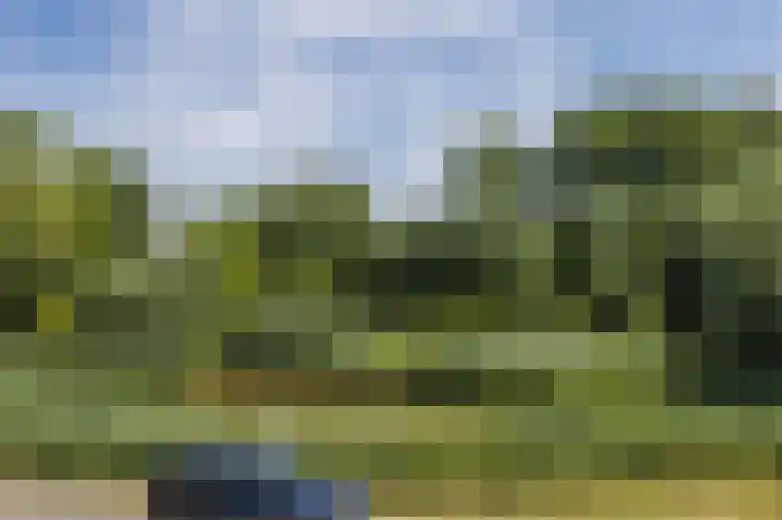 Olympiaweg 18 Schiedam thumbnail 48