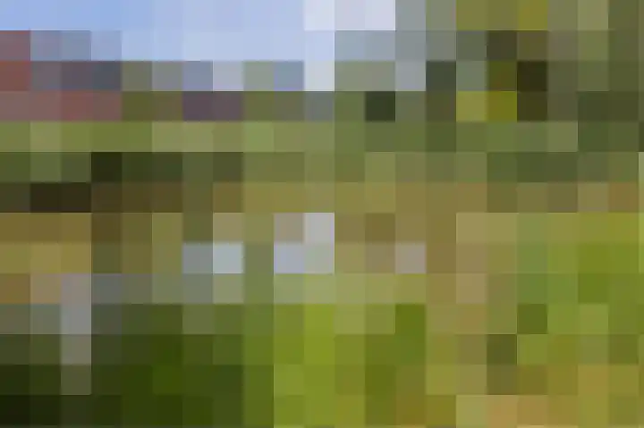 Olympiaweg 18 Schiedam thumbnail 49