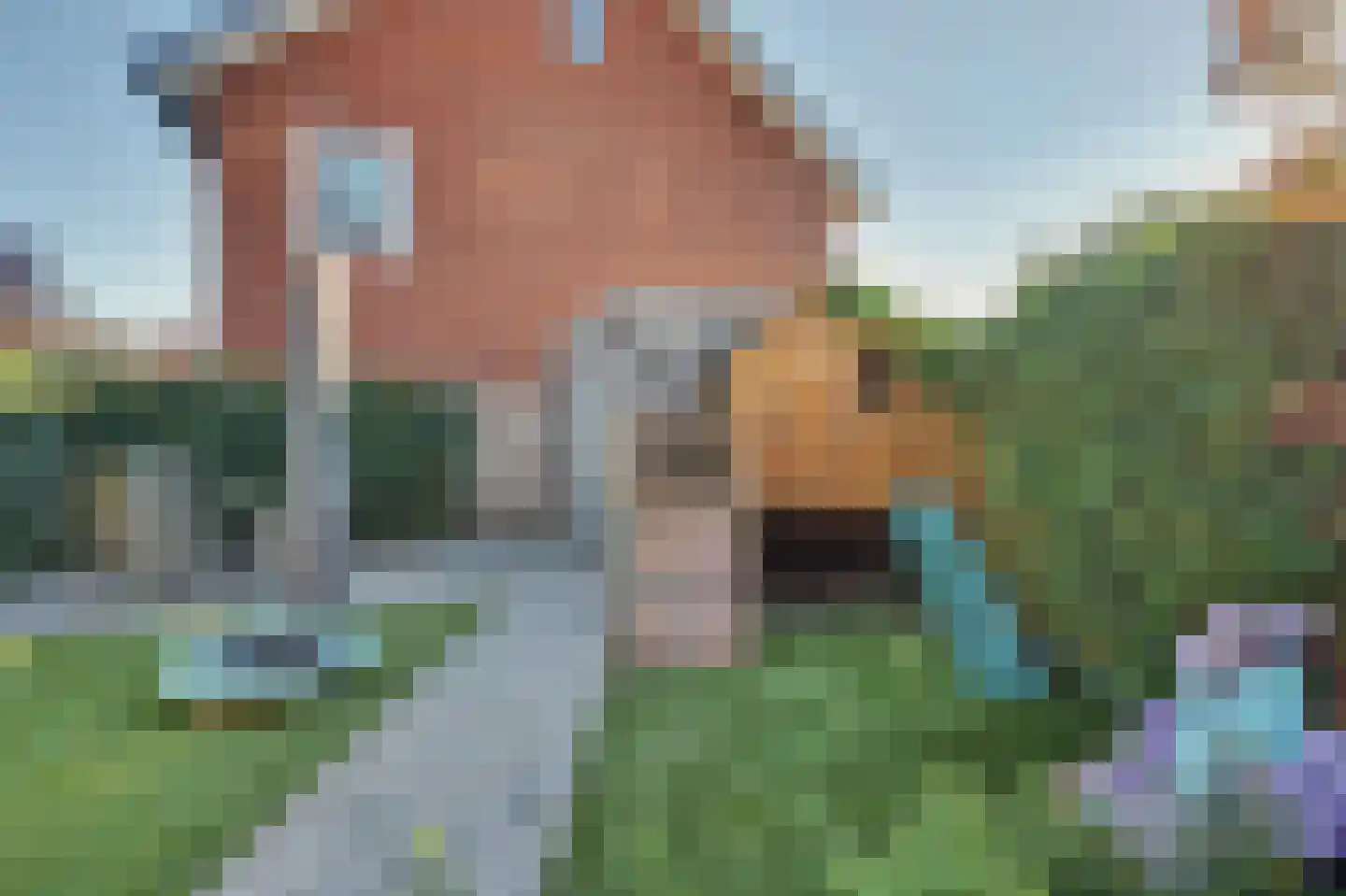 Olympiaweg 19 A Schiedam thumbnail 41
