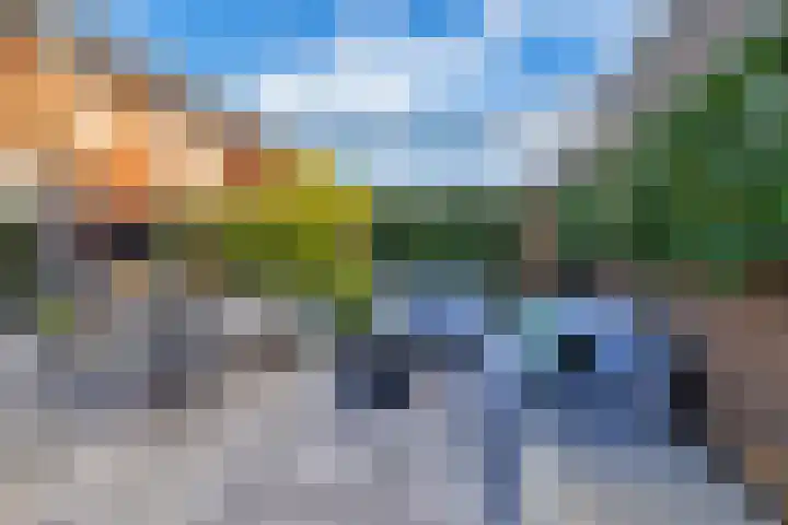 Olympiaweg 21 B Schiedam thumbnail 22