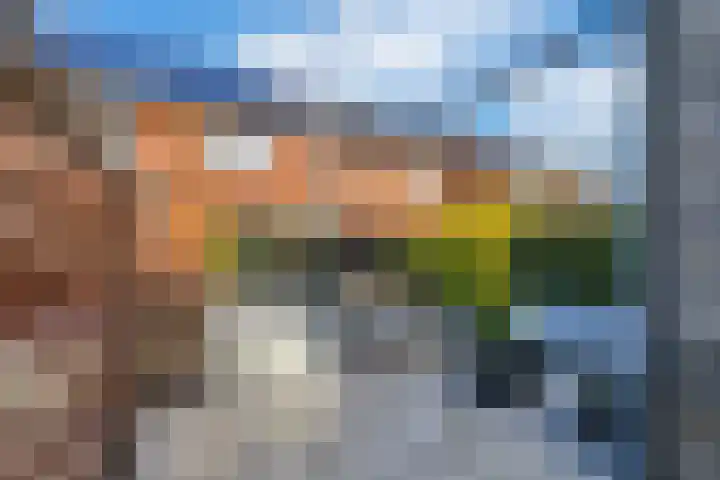 Olympiaweg 21 B Schiedam thumbnail 24