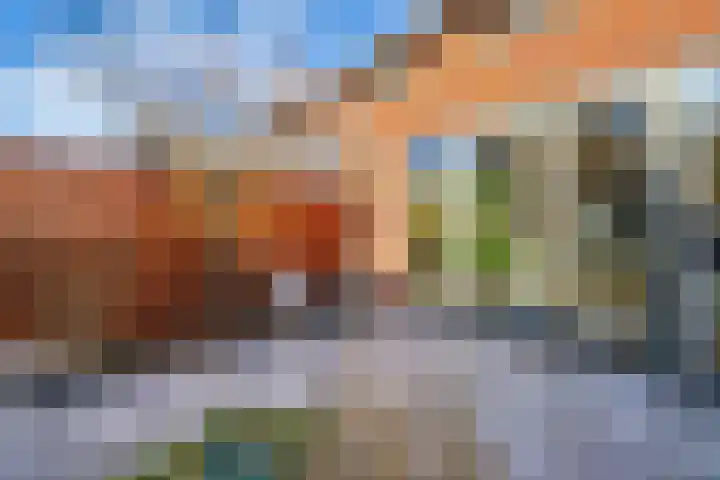 Olympiaweg 21 B Schiedam thumbnail 25