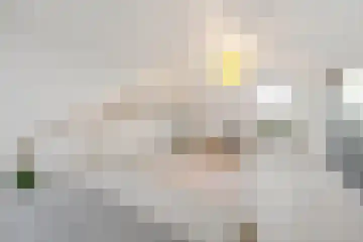 Olympiaweg 21 B Schiedam thumbnail 38