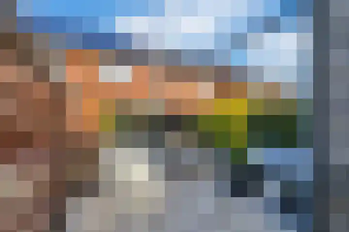 Olympiaweg 21 B Schiedam thumbnail 5