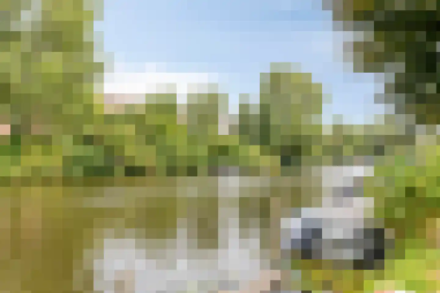 Olympiaweg 24 H Amsterdam thumbnail 27