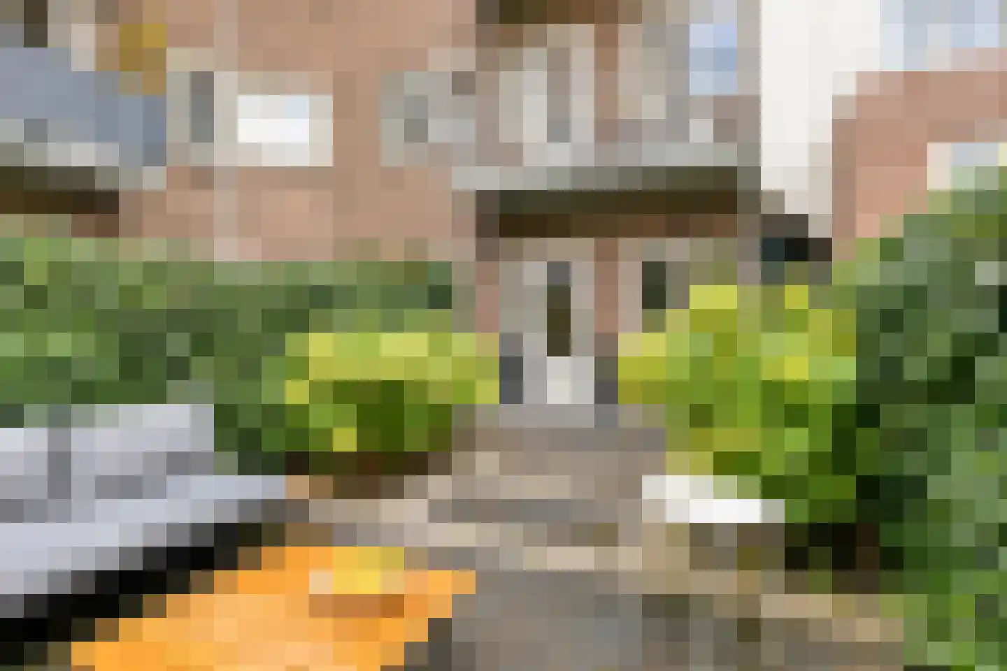 Olympiaweg 24 H Amsterdam thumbnail 4