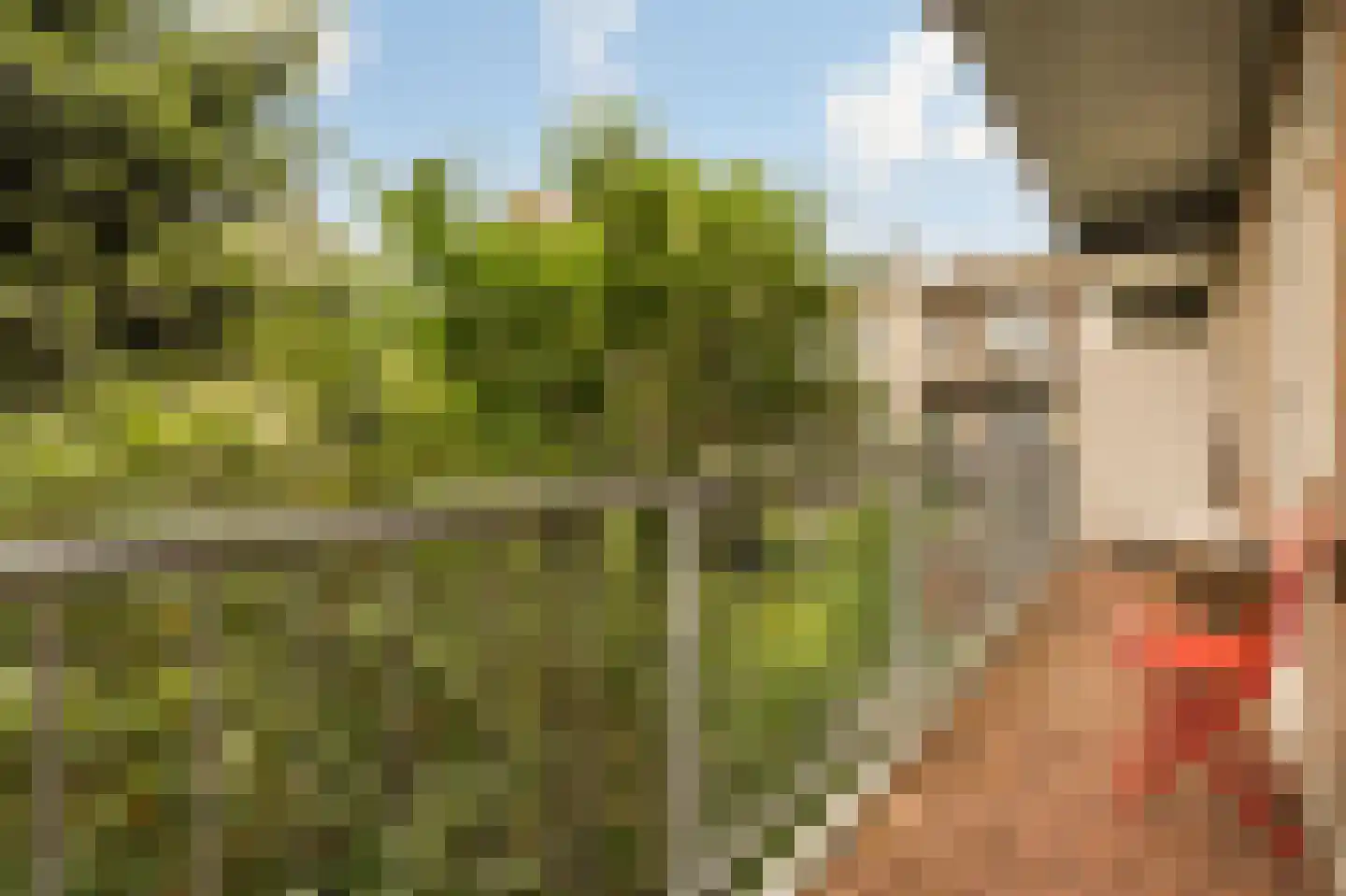 Olympiaweg 28 H Amsterdam thumbnail 21