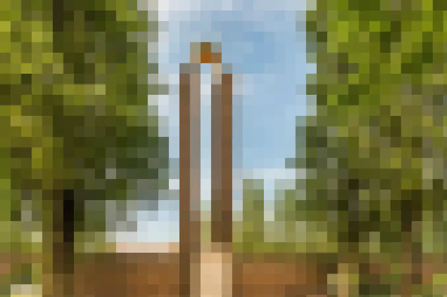 Olympiaweg 28 H Amsterdam thumbnail 27