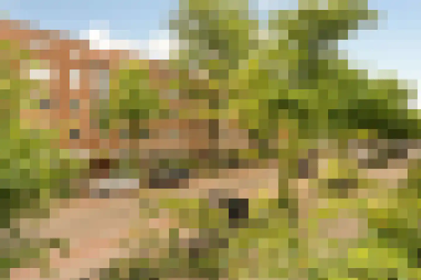 Olympiaweg 28 H Amsterdam thumbnail 5