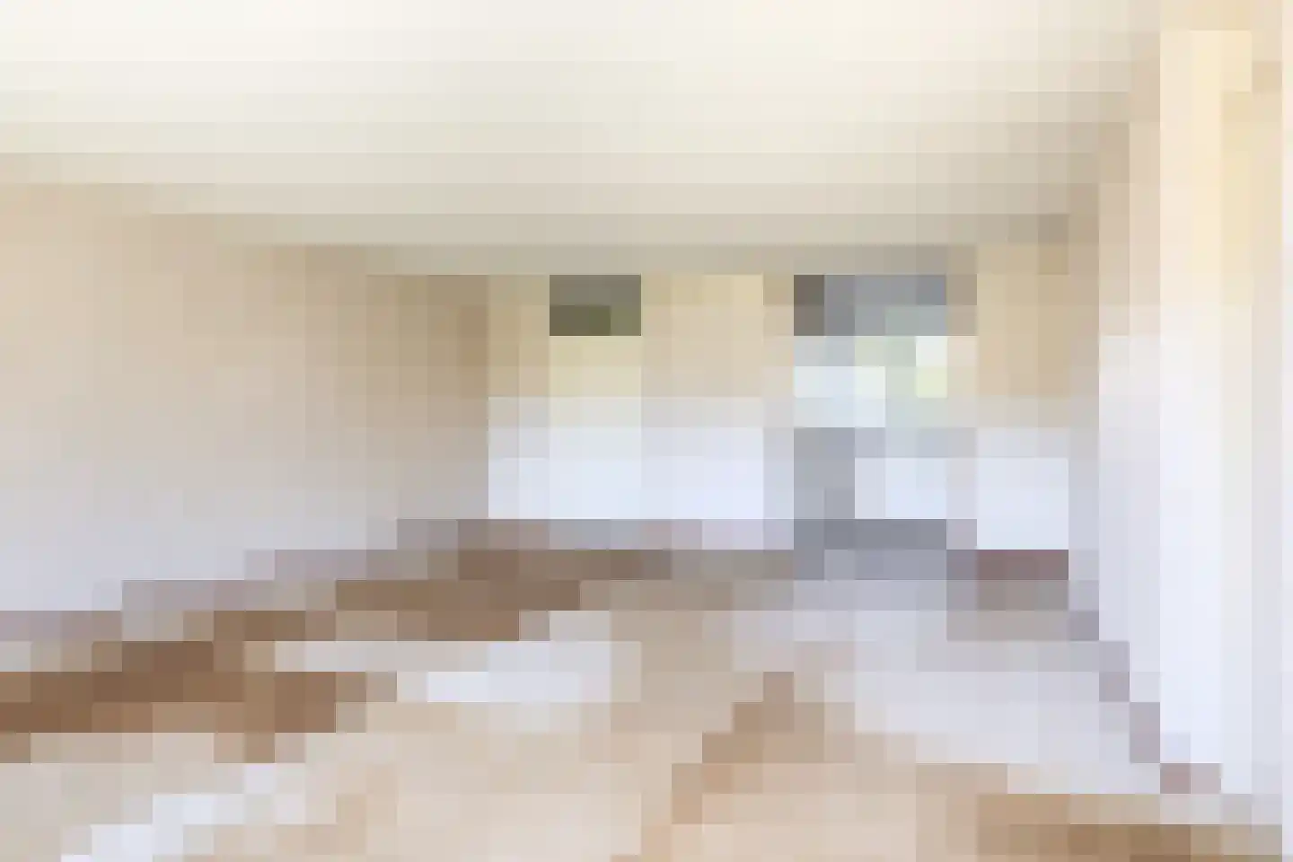 Olympiaweg 3 Sommelsdijk thumbnail 11